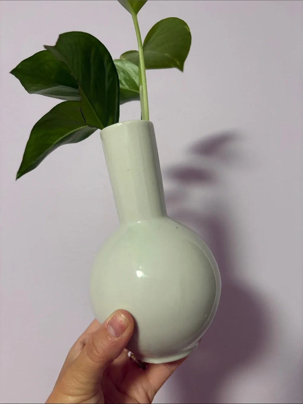 Vintage Porcelain Floral Vase